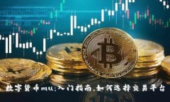 数字货币mu：入门指南，如何选择交易平台
