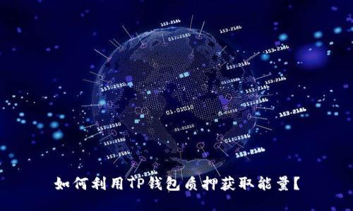 如何利用TP钱包质押获取能量？