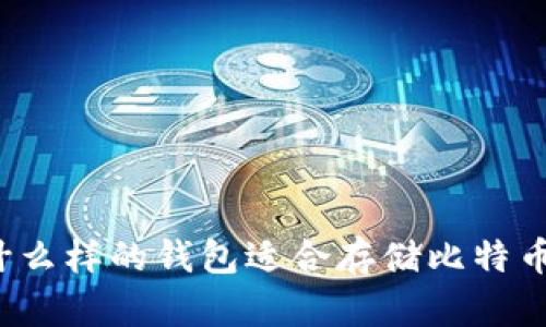 什么样的钱包适合存储比特币?