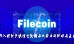 深入探讨区块链交流圈与比特币的现状与未来