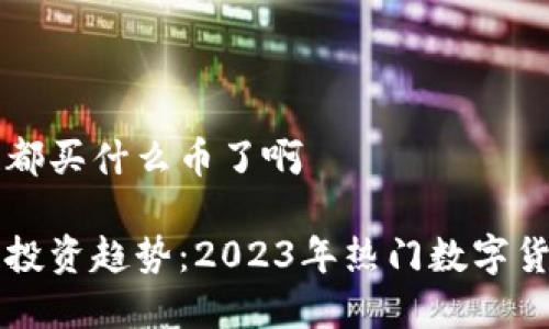 区块链都买什么币了啊

区块链投资趋势：2023年热门数字货币分析