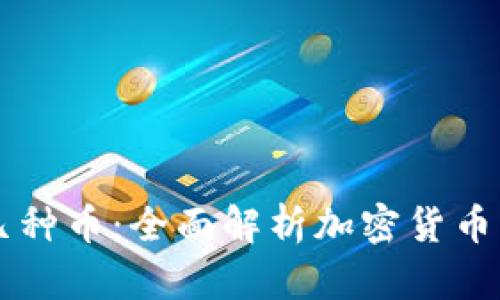 区块链分哪几种币：全面解析加密货币的种类与特点