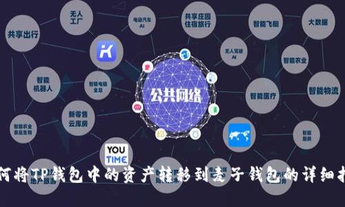 如何将TP钱包中的资产转移到麦子钱包的详细指南