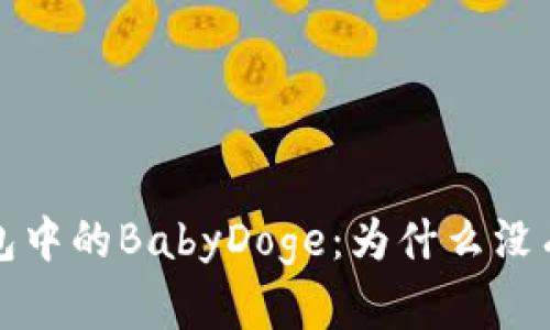  TP钱包中的BabyDoge：为什么没有分红？