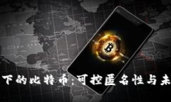区块链技术下的比特币：可控匿名性与未来发展