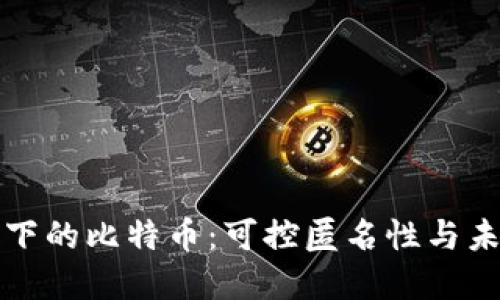 区块链技术下的比特币：可控匿名性与未来发展探讨