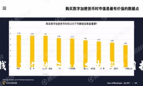 TP钱包充值的安全性分析与使用指南