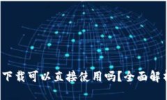 t p钱包下载可以直接使用吗？全面解析和指南