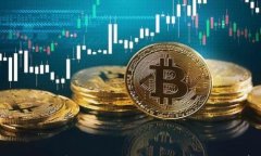 区块链黑客排名最新：安全与风险中的博弈