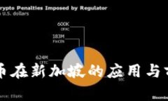 区块链币在新加坡的应用与前景分析