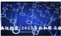 区块链投资：2023年的机遇与挑战