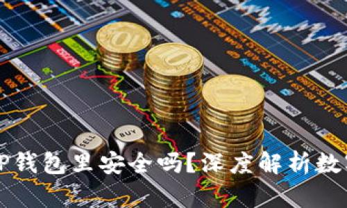 马蹄币放在TP钱包里安全吗？深度解析数字货币安全性