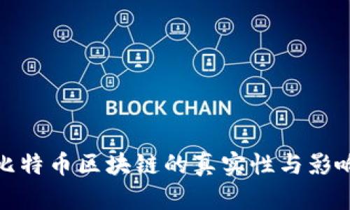 比特币区块链的真实性与影响