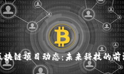最新区块链项目动态：未来科技的前沿探索
