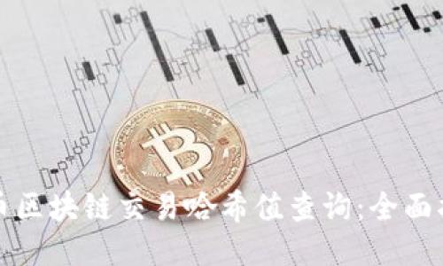 火币区块链交易哈希值查询：全面指南