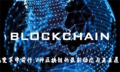 在变革中前行：V神区块链的最新动态与未来展望