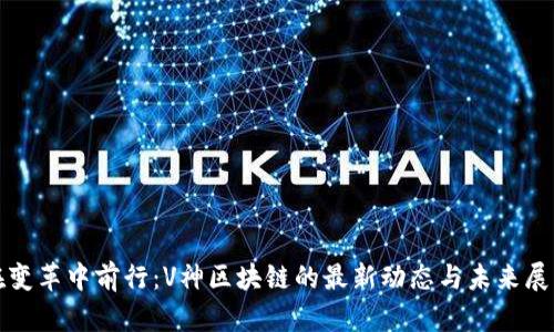 在变革中前行：V神区块链的最新动态与未来展望