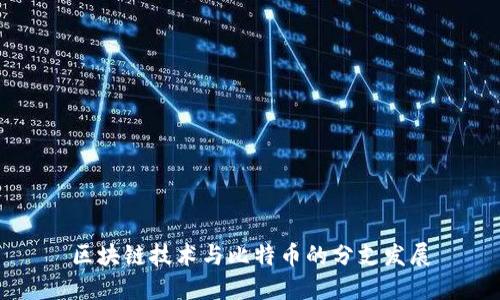 区块链技术与比特币的分支发展