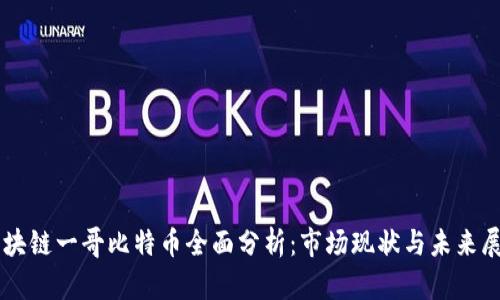 区块链一哥比特币全面分析：市场现状与未来展望