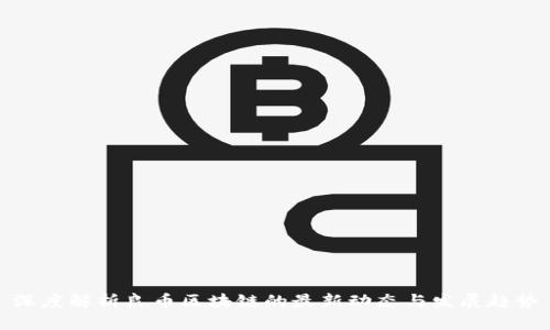 深度解析良币区块链的最新动态与发展趋势