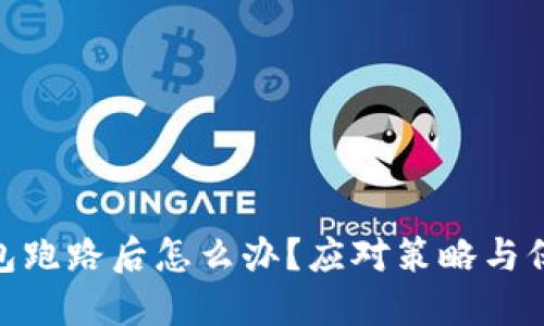 : TP钱包跑路后怎么办？应对策略与保障措施