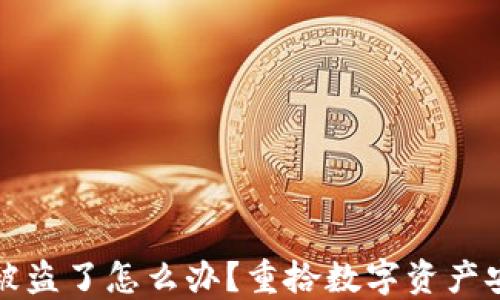 
TP钱包币被盗了怎么办？重拾数字资产安全的指南