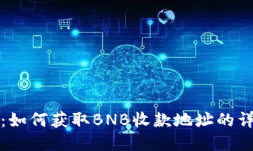 TP钱包：如何获取BNB收款地址的详细指南