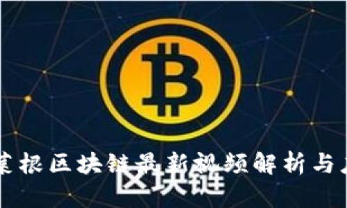 陈菜根区块链最新视频解析与应用