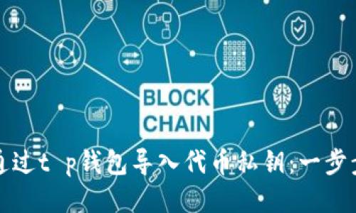 如何通过t p钱包导入代币私钥：一步步指南