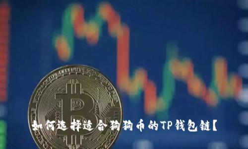 如何选择适合狗狗币的TP钱包链？