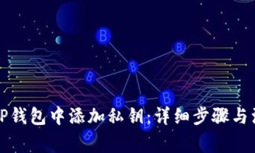 如何在TP钱包中添加私钥：详细步骤与注意事项