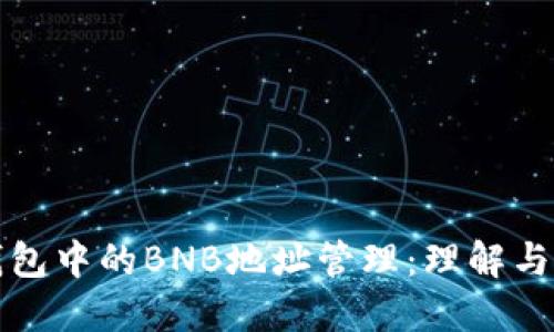 TP钱包中的BNB地址管理：理解与实践