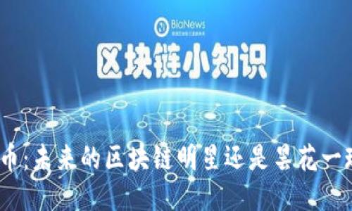 Pi币：未来的区块链明星还是昙花一现？