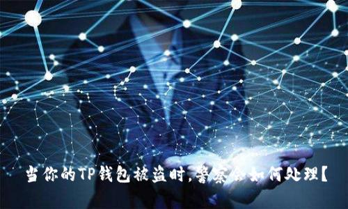 当你的TP钱包被盗时，警察会如何处理？