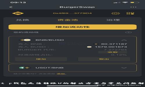 : t p钱包无法转账U的解决方案与常见问题解析