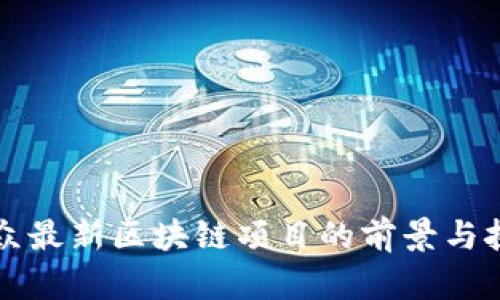 大众最新区块链项目的前景与挑战