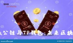 深入探讨Solana公链与TP钱包：未来区块链技术的交