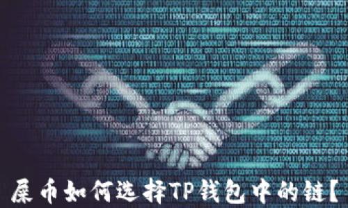 
屎币如何选择TP钱包中的链？