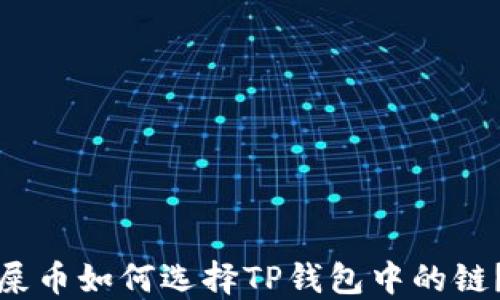
屎币如何选择TP钱包中的链？