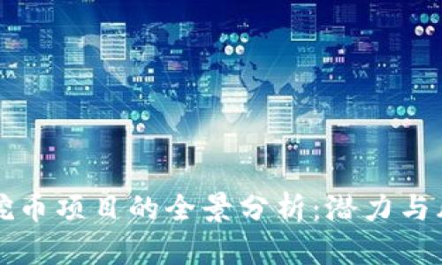 区块链挖币项目的全景分析：潜力与风险并存