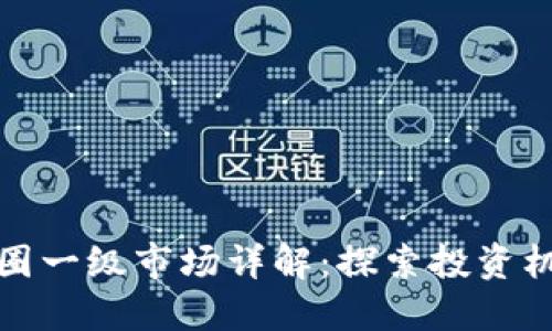 区块链币圈一级市场详解：探索投资机会与风险