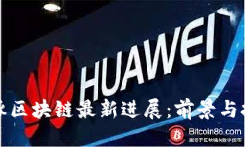 海豚区块链最新进展：前景与挑战