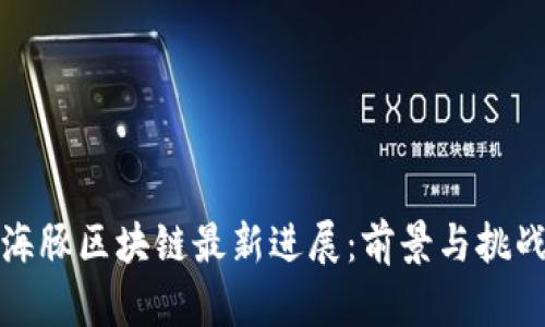 海豚区块链最新进展：前景与挑战