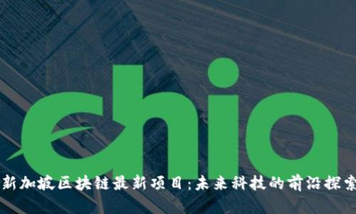 新加坡区块链最新项目：未来科技的前沿探索