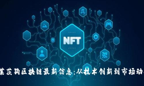 莱茨狗区块链最新信息：从技术创新到市场动向