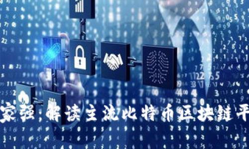 比特币区块链哪家强：解读主流比特币区块链平台的优势与挑战