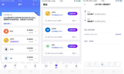 探索虚拟币的未来：如何开发一个安全高效的区块链钱包