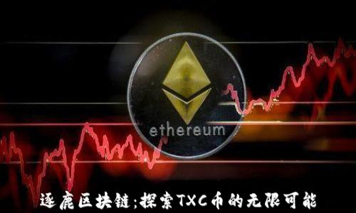 
逐鹿区块链：探索TXC币的无限可能
