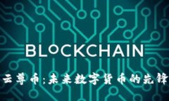 探索云尊币：未来数字货币的先锋之路