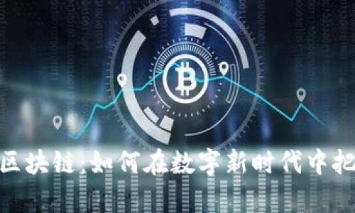 探索卡尔币区块链:如何在数字新时代中把握财富机会